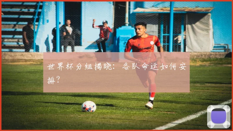 世界杯分组揭晓：各队命运如何安排？