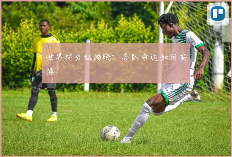 世界杯分组揭晓：各队命运如何安排？